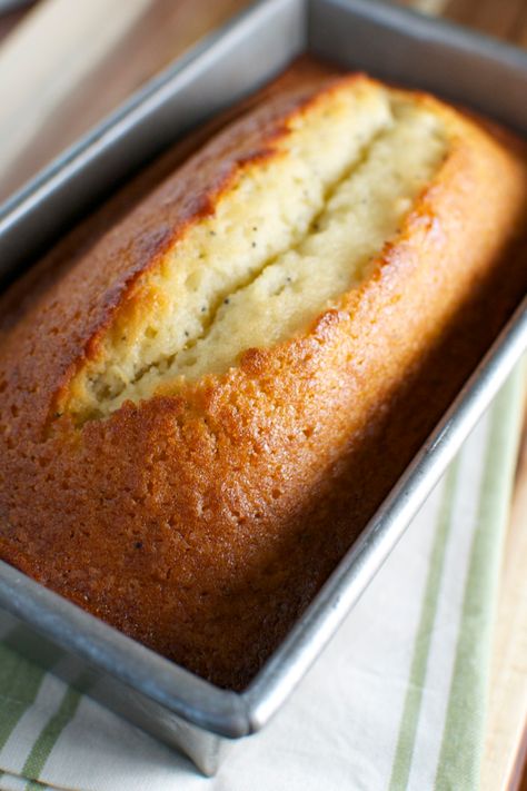 Grandma's Poppy Seed Bread - Stuck On Sweet Seeded Bread Recipes, Savory Bread Recipe, Poppy Seed Bread, Best Homemade Bread Recipe, Lemon Poppyseed Bread, Stuffed Bread, Sugar Bread, Comfort Desserts, Yeast Breads