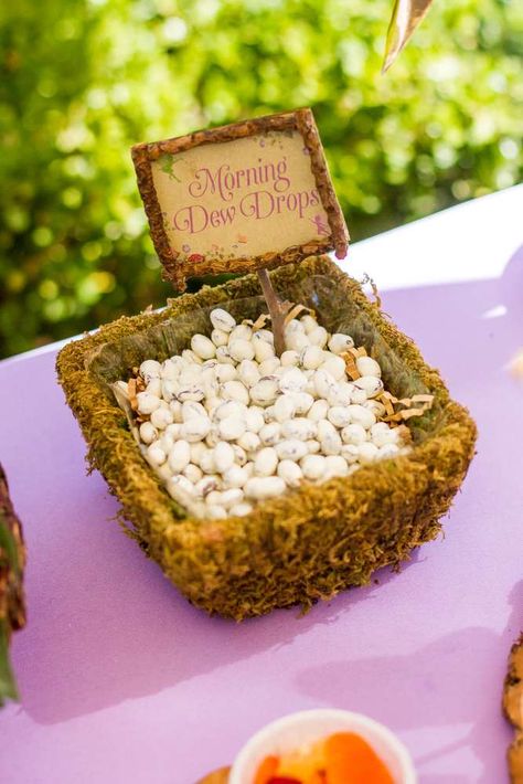 Fairy Garden Birthday Party Ideas | Photo 7 of 47 Fairy Party Candy Table, Enchanted Garden Food Ideas, Enchanted Forest Birthday Party Games, Fairy Party Snacks, Fairy Garden Food Ideas, Fairy First Birthday Food, Fairy Birthday Party Food, Fairy Food Ideas, Fairy Themed Food