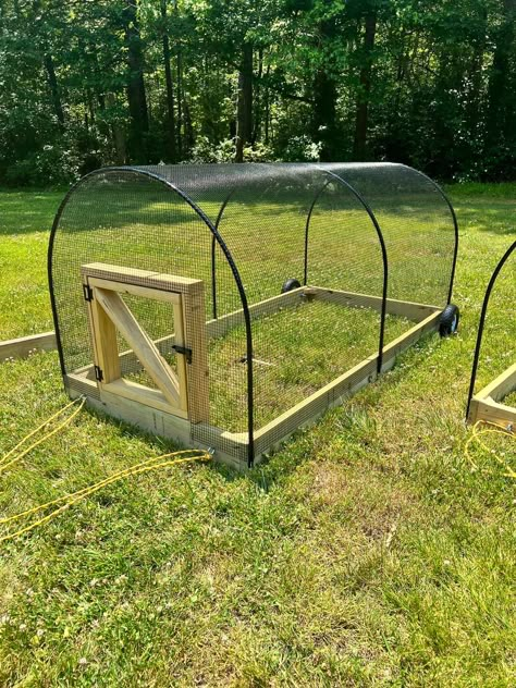 Small Movable Chicken Coop, Bunny Runs Outdoor Diy, Rolling Chicken Coop, Movable Chicken Run, Small Chicken Run, Mobile Chicken Run, Bird Avery, Moveable Chicken Coop, Chicken Tunnels