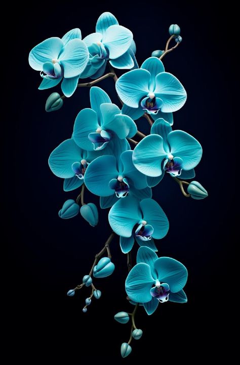 Orhidee Flowers, Orchid Flower Wallpaper, Pisces Aura, 2025 Journal, Aquarius Energy, Wallpapers Flowers, Blue Orchid Flower, Phone Screensaver, Dreamy Images