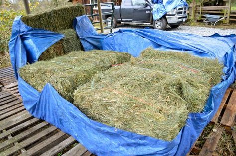 Storing Hay So It NEVER Gets Moldy | LISTEN TO YOUR HORSE http://www.listentoyourhorse.com/storing-hay-so-it-never-gets-moldy/ Hay Bale Storage Ideas, Hay Storage Ideas, Hay Feeder For Horses, Horse Pasture, Horse Nutrition, Horse Farm Ideas, Horse Paddock, Barn Hacks, Horse Hay