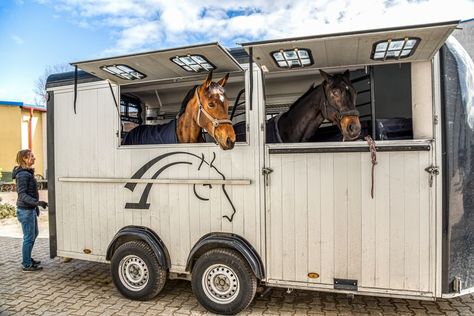 Are you getting ready to take your horse on a road trip? Use these tips to make sure it's a happy and healthy ride for them! Homesteading Equipment, Horse Trailer Organization, Horse Care Tips, Best Suv, Suv Models, Deer Creek, Types Of Horses, Horse Illustration, Two Horses