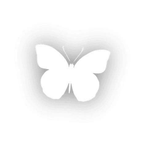 Butterfly icon #AD , #AD, #Paid, #icon, #Butterfly White Buterfluffy, Butterfly White Background, Butterfly Icons, Logo Butterfly, Butterfly Icon, Gradient Image, Butterfly White, Butterfly Png, Butterfly Logo