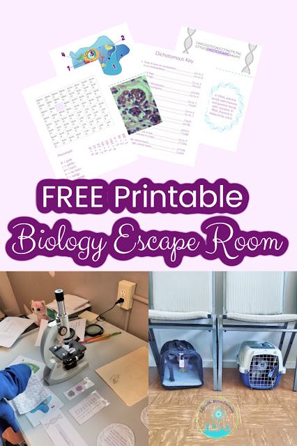 This printable biology escape room reviews several aspects of high school biology while building critical thinking skills and teamwork! Teaching Biology High School, Biology Games High Schools, High School Biology Projects, Biology Activities High School, Environmental Science Activities, Kids Critical Thinking, High School Biology Teacher, Biology Games, Escape Room Ideas