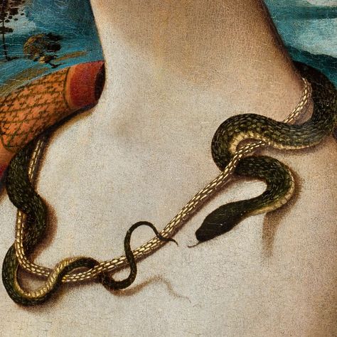 Simonetta Vespucci, Snake Painting, Folk Magic, Snake Art, Moodboard Aesthetic, Instagram Jewelry, Divine Mother, Occult Art, Mystical Art