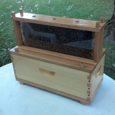 My medium frame Ulster Observation Hive Observation Hive, Bee Business, Discussion Starters, She Shed, Bee Keeping, Hope Chest, Honey Bee, The Box, The Top