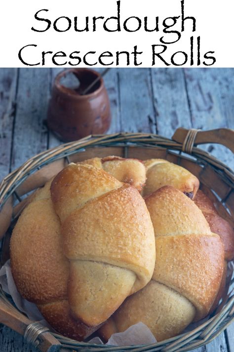 sourdough crescents in a blue basket. Crescent Roll Bread, Crescent Roll Dough Recipes, Dough Starter Recipe, Roll Dough Recipe, Crescent Roll Recipes Dinner, Crescent Rolls Recipe, Homemade Crescent Rolls, Simple Sourdough, Buttery Rolls