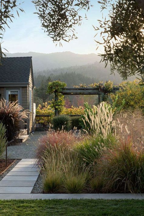 Dream Landscapes: 10 Perennial Gardens Inspired by Piet Oudolf - Gardenista Ornamental Grass Landscape, Life In London, Australian Native Garden, Dream Landscape, Landscaping Inspiration, Grasses Landscaping, Australian Garden, Grasses Garden, Native Garden