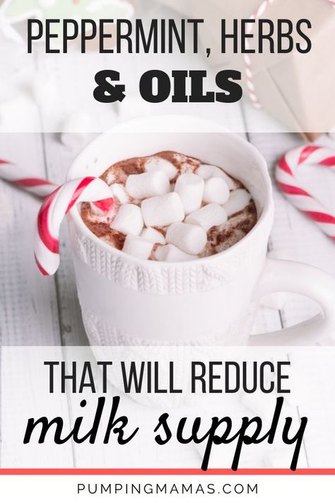 Peppermint has an impact on breastfeeding moms. Are you trying to dry up breastmilk supply fast? Use peppermint to reduce your milk supply. If you are a breastfeeding mom who is ready to wean, try these tips. There are other herbs and essential oils to dry up your breast milk. If you are weaning from breastfeeding, nursing, or from pumping, these essential oils can lower your milk supply. Watch for candy and mint drinks during the holidays. #pumpingmamas #breastfeeding #milksupply #peppermint Essential Oils For Clogged Milk Duct, Dry Up Breastmilk, Dry Up Milk Supply, How To Build Milk Supply While Nursing, Essential Oils For Mastitis, Over Supply Of Breastmilk, Lemon Balm Oil, Increase Milk Supply While Pregnant, Increase Breastmilk Supply