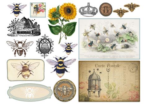 Bee Ephemera Free Printables, Bee Printables, Collage Diy, Journal Vintage, Diy Set, Journal Printables, Vintage Ephemera, Vintage Printables, Types Of Printer