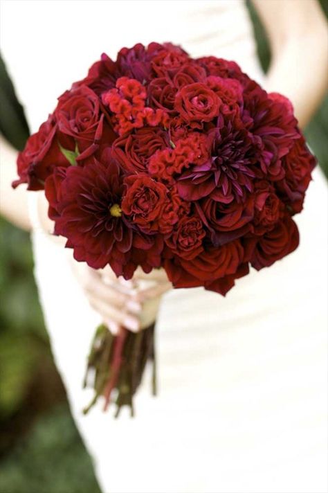 Red Wedding Flowers Bouquet, Deep Red Wedding, Cranberry Wedding, Red Bouquet Wedding, Red Wedding Flowers, Red Bouquet, Beautiful Wedding Flowers, Boda Mexicana, Bouquet Bridal