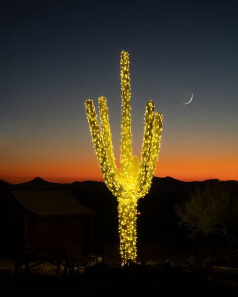 Arizona Style, Merry Christmas And Happy Holidays, Holiday Lookbook, Saguaro Cactus, Photo Of The Day, Holiday Weekend, Stay Safe, Home Decor Bedroom, Christmas Eve