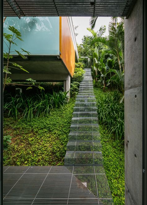 Landscape Stairs, Outdoor Stairs, Design Exterior, Staircase Design, Stairs Design, Outdoor Design, Lush Green, Interior Architecture Design, Landscape Architecture