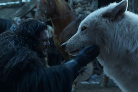 Jon Snow Ghost, Jon Snow And Ghost, Game Of Thrones Images, جون سنو, The White Wolf, Game Of Thrones Poster, Game Of Thrones Series, Game Of Thrones 3, John Snow