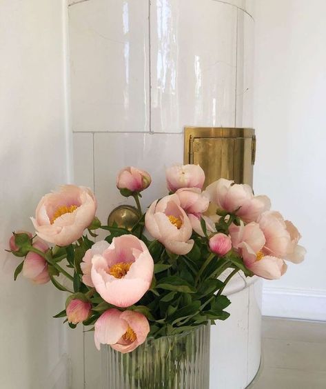 Flower Therapy, Deco Floral, Plant Mom, Beautiful Blooms, Pink Peonies, Love Flowers, My Flower, Flower Shop, Pretty Flowers