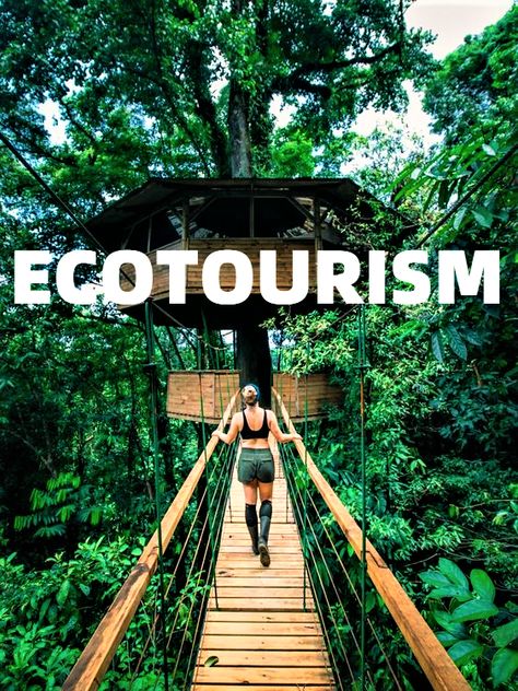 Eco Tourism, Save Nature, Eco Lodge, Garden Types, Eco Friendly Travel, Sustainable Travel, Eco Friendly Living, Gardening Supplies, Natural Environment