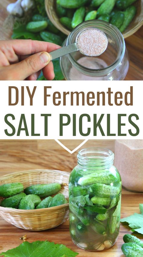 Pickle Storage Ideas, Pickling Salt Recipe, Salt Brine Pickles, Salt Pickles Old Fashion, Salt Pickles, Brine Pickles, Fermented Pickles Recipe, Fermented Dill Pickles, Ketchup Recipes