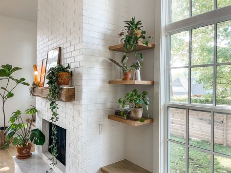 Floating Plant Shelves, Summer Room Decor, Cottage Farmhouse Decor, Indoor Plant Wall, Corner Plant, Window Shelves, Floating Shelves Bathroom, Cotton Stems, Floating Plants