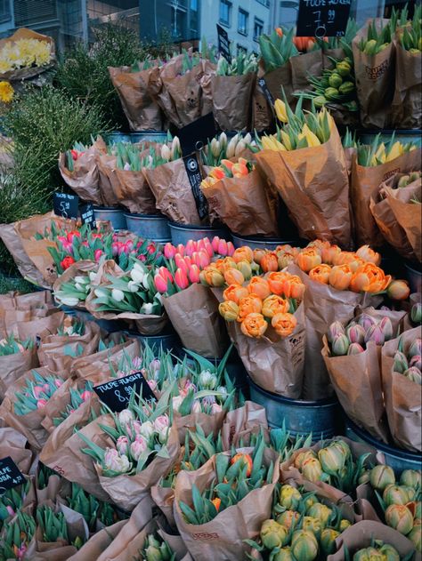 Tulips Italian Flower Shop, Nyc Flower Shop, Green Grocer, Street Flowers, Italian Flowers, Flower Shop, Marketing Tools, Tulips, Germany