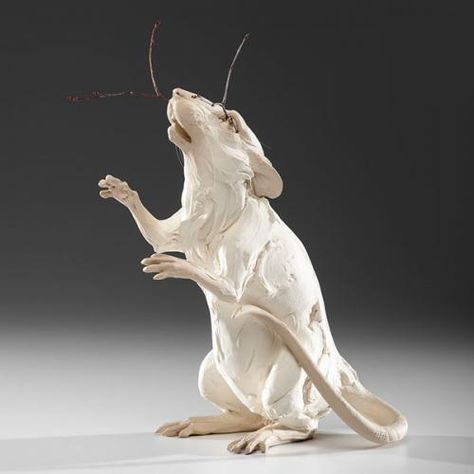 Beth Cavener, Sculpture Design, Contemporary Ceramics, Arte Horror, Modern Ceramics, Animal Sculptures, Creature Design, Seville, Ceramic Sculpture