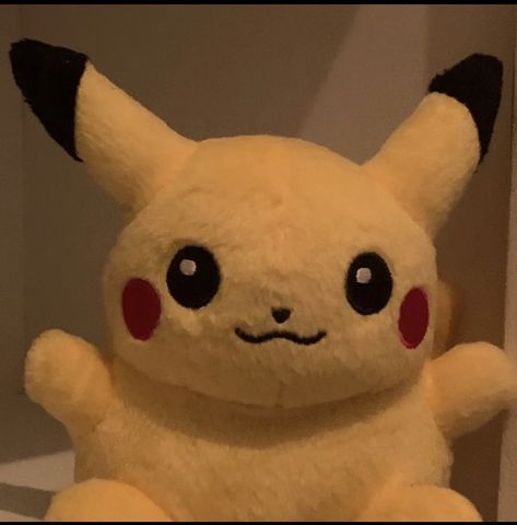 Pfp Plushie, Plushie Pfp, Pikachu Meme, Dibujos Ideas, Pokemon Plushies, Walking Dead Game, I Meet You, Day Of My Life, Pikachu