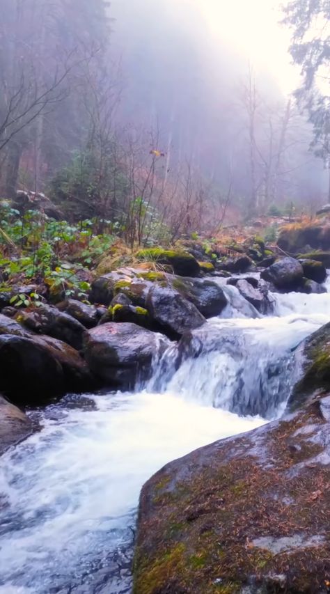 Enjoy this relaxing nature 4K video with the sounds of cold water gently flowing over rocks on a misty day. 👍 Like, comment and subscribe for more high-quality sound nature videos. Thank you! Nature 4k, Relaxing Nature, Nature Videos, Like Comment And Subscribe, Nature Sounds, Nature Gif, 4k Video, Subscribe For More, Hiking Trip