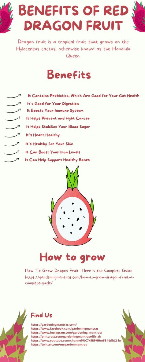 Red Dragon Fruit Benefits, Dragon Fruit Skin Uses, Dragon Fruit Growing Tips, Health Benefits Of Dragon Fruit, Dragonfruit Benefits Health, How To Grow A Dragon Fruit Plant, Benefits Of Yellow Dragon Fruit, Yellow Dragon Fruit Benefits, Dragon Fruit Benefits For Skin