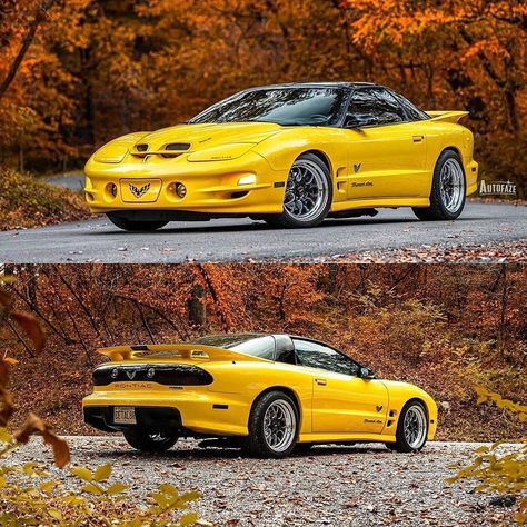 Pontiac Firebird Ws6, 2000 Pontiac Firebird, 2002 Trans Am Ws6, Pontiac Trans Am, Trans Am Ws6, 2002 Pontiac Firebird, Vintage Scale, Pontiac Firebird Trans Am, Firebird Trans Am