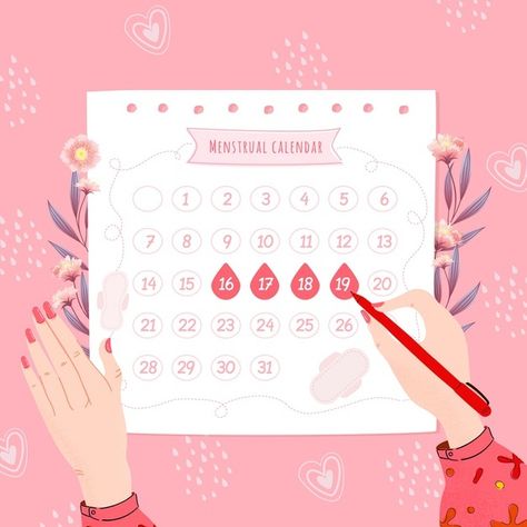 Calendar Concept, Menstrual Calendar, Period Calendar, Concept Advertisement, Ovulation Cycle, Midwifery Student, Medical Wallpaper, Menstrual Health, Bullet Journal Aesthetic