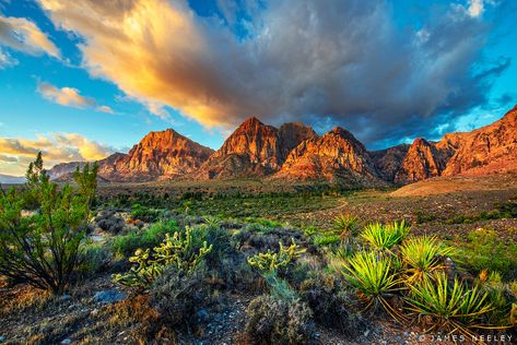 Red Rock Las Vegas, Red Rock Canyon Las Vegas, Red Rock Canyon, Telephone Box, New Possibilities, Desert Landscaping, Red Rock, Morning Light, Las Vegas Nevada