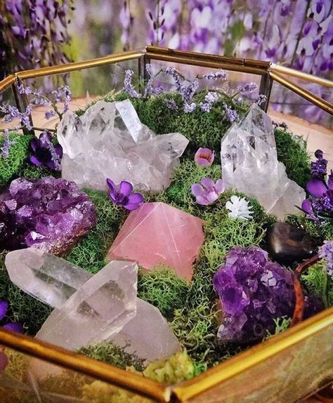 Crystal Terrarium, Terrarium Workshop, Gems Crystals, Fairy Garden Party, Crystal Garden, Witch Craft, Terrariums Kits, Garden Terrarium, Types Of Crystals