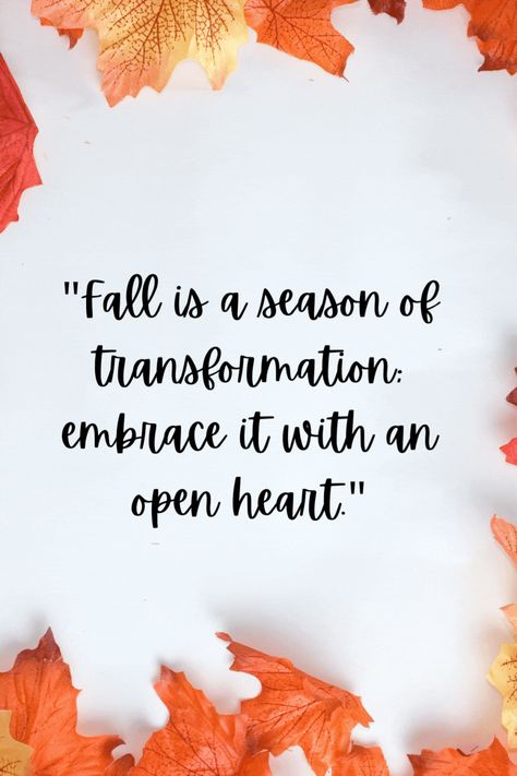 Fall Is In The Air Quotes, Air Quotes, Fall Is In The Air, Collage, Quotes, Pins, Quick Saves