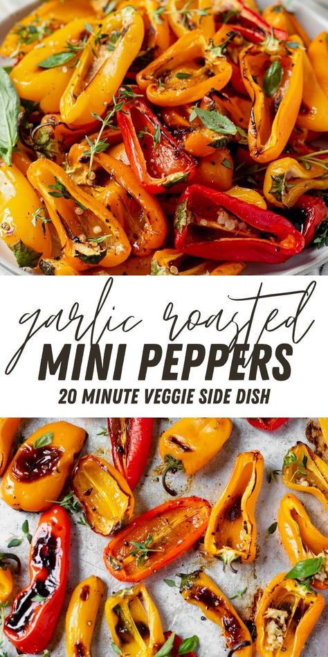 Sweet Pepper Side Dish Recipes, Vegan Stuffed Mini Sweet Peppers, Diced Bell Pepper Recipes, Sweet Pepper Breakfast Recipes, Roasted Mini Bell Peppers Oven, Carrots And Peppers Recipe, Roasted Mini Peppers Recipes, Recipe With Mini Sweet Peppers, Mini Sweet Pepper Recipes Chicken