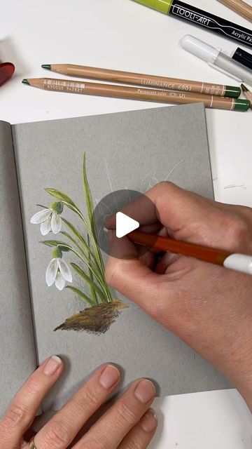 Floral Drawing Colored Pencil, Pastel Pencil Art Tutorials, Soft Pastel Colour Drawing, Pastel Pencil Drawing, Floral Color Pencil Drawing, Colored Pencil Art Ideas, Flower Coloured Pencil Drawing, Colour Pencil Flower, Flower With Pencil Colours