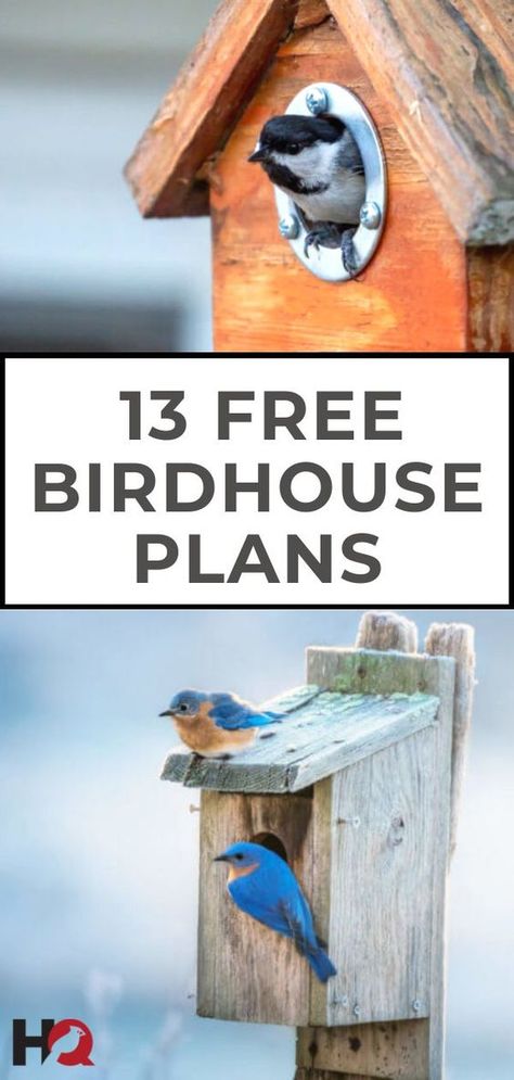 Free Birdhouse Plans, Bluebird House Plans, Birdhouse Plans, Bird House Plans Free, Purple Martin House, Homemade Bird Houses, Bird Houses Ideas Diy, Bird House Feeder, Bluebird House