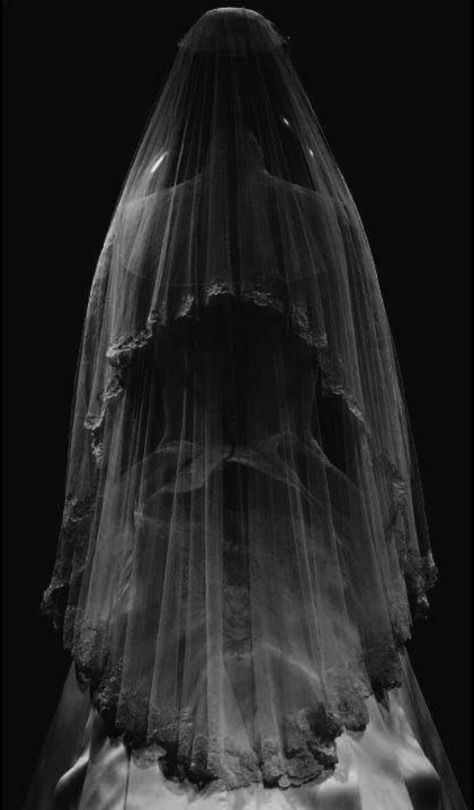 Between The Worlds Veil Aesthetic, Bride Aesthetic, Dark Zone, Ghost Bride, Veiled Woman, Artistic Wedding Photography, Bride Veil, Dark Love, Ghost Pictures