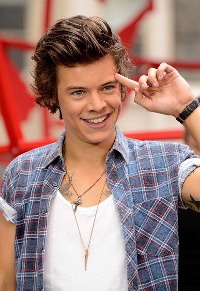 Harry Styls, Harry Styles 2013, One Direction Louis, Hottest Male Celebrities, Harry Styles Cute, Haikou, Frat Boy, One Direction Harry, Harry Styles Photos