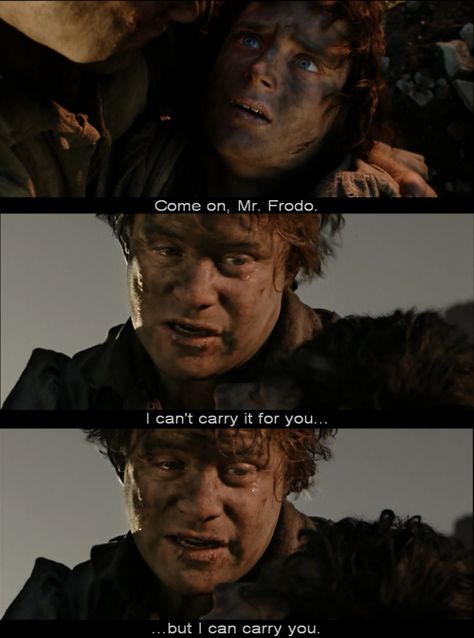 The Lord of the Rings: The Return of the King quotes. This is one of the best scenes of the whole series! Grey Havens, Kind Quotes, Samwise Gamgee, The Return Of The King, J.r.r. Tolkien, Frodo Baggins, King Quotes, Into The West, Anything For You