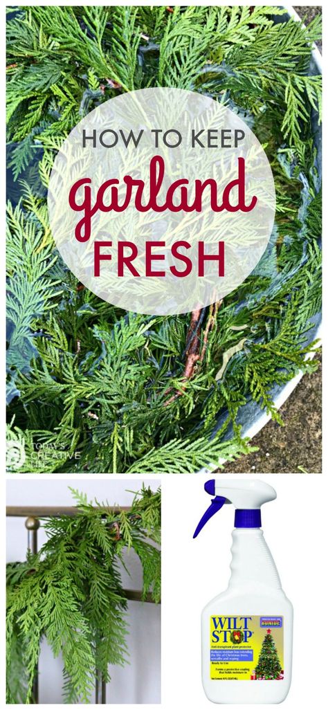 How To Make Fresh Pine Swags, Making Cedar Garland, Real Greenery Garland, Christmas Evergreen Garland, Diy Cedar Garland How To Make, Making Garland Greenery, Diy Live Garland, Diy Live Garland Christmas, How To Make Pine Garland