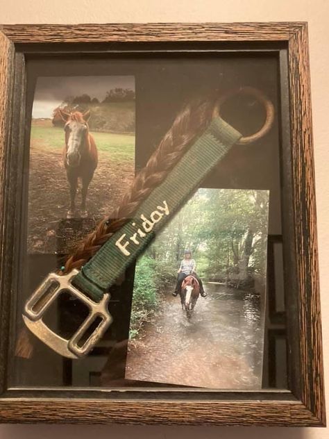 Shadow Box For Horse Memorial, Horse Tail Keepsake, Horse Memory Box Ideas, Equestrian Bedroom Ideas, Horse Tail Memorial, Horse Memorial Shadow Box Ideas, Horse Shadow Box Ideas, Horse Memorial Ideas, Horse Shadow Box