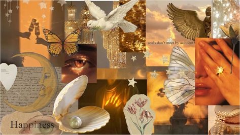 Cute golden aesthetic collage board made on Landing. golden aesthetic gold collage art decor inspiration board mood board inspo pretty beauty manifestation Sculptures Aesthetic, Beauty Manifestation, Golden Aesthetic, Golden Hour Aesthetic, Board Mood, Aesthetic Gold, Collage Board, Aesthetic Gif, Aesthetic Collage