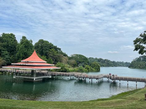 #reservoir #macritchie #singapore #lake #kanoe Travel Blog, Singapore, Lake, Travel