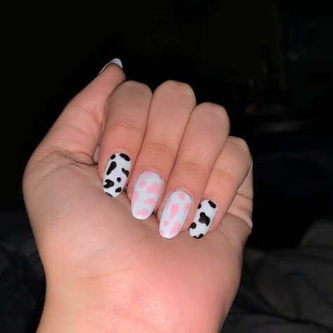 Pink And Black Cow Print Nails, Black Cow Print Nails, Cow Print Nails, Cow Nails, Print Nails, Black Cow, Pink Cow, Dream Nails, Green Nails