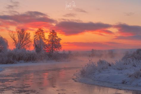 February Vibes, Cold Sunset, Poland Winter, Sunset In Winter, Red Barn Painting, Growing Geraniums, Street Photography People, Sunset Winter, Winter Sunrise