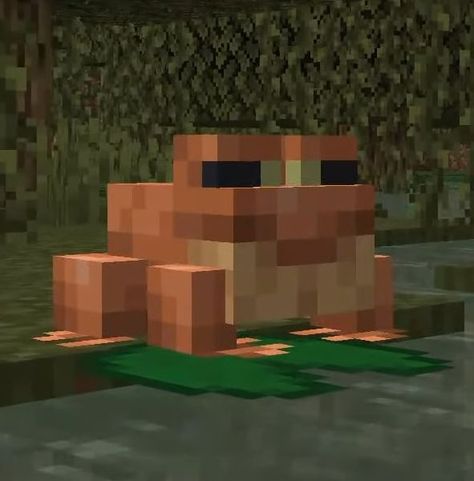 Minecraft Frog, Minecraft Animals, Minecraft Wolf, Minecraft Rp, Minecraft Images, Minecraft Pictures, Cute Love Photos, Minecraft Characters, Minecraft Mobs