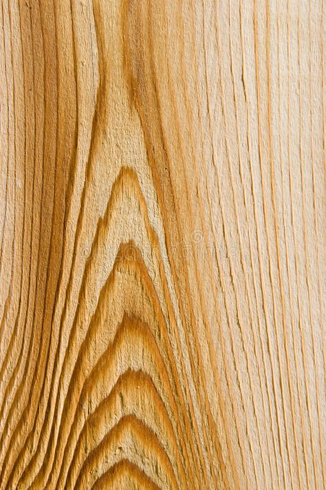 Wood Grain Logo, Cedar Board, Brown Aesthetics, Flat Interior Design, Prince Rupert, Graphic Design Portfolio Cover, Cedar Boards, Building House, Flat Interior