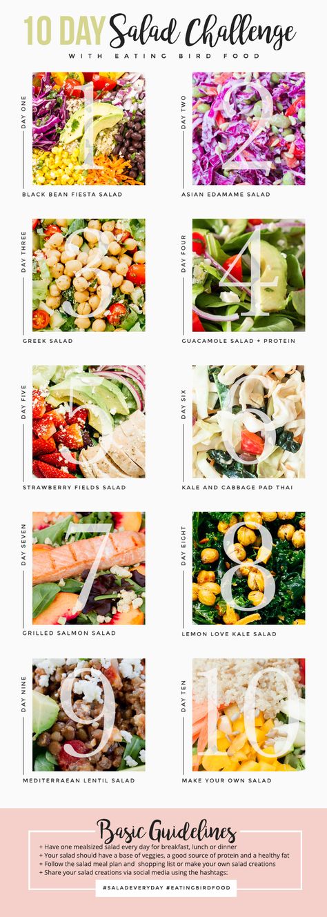 10 Day Salad Challenge! Eat a meal-sized salad every day for 10 days! // eatingbirdfood.com Eat Salad Everyday, Type Of Salads, 30 Day Salad Diet, Salad A Day Challenge, Salad Every Day, 30 Day Salad Challenge, Salad Challenge, 30 Day Raw Food Challenge, 7 Day Salad Challenge