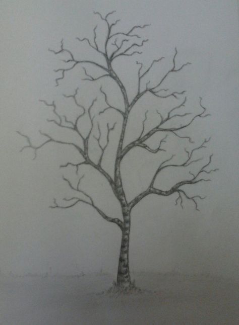 A tree with no leaves! Tree Drawing No Leaves, Tree With No Leaves Tattoo, Tree With No Leaves Drawing, Leaveless Trees, Poison Tree Drawing, Trees With No Leaves, Tree No Leaves, Tree With No Leaves, Drawing A Tree