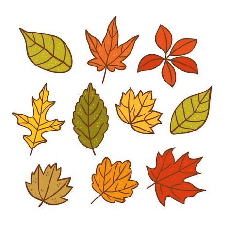 Fall Leaves Simple Drawing, Autumn Leaf Clipart, Fall Leaf Drawing Simple, Fall Advertising Ideas, Autumn Leaf Doodle, Autumn Leaves Art Drawing, Cartoon Leaf Drawing, Fall Leaves Clip Art, Easy Fall Leaf Drawing