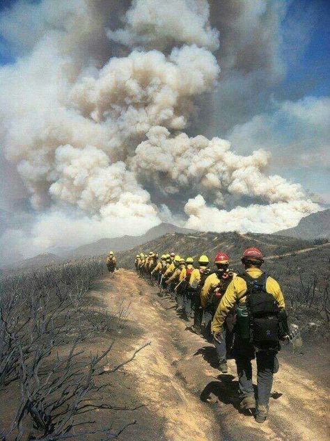 These men and women are unsung hero's! They go out and put their lives on the line to keep our communities safe! Out here in Montana, there have been a couple who have given their lives this year to keep us safe! Take a moment to thank a firefighter...They simply do not get enough credit! August 2017 Firefighter Photography, Firefighter Pictures, Wildland Fire, 1st Responders, Fire Life, Wildland Firefighter, Volunteer Firefighter, Wild Fire, Fire Brigade